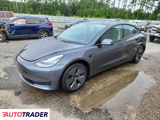 Tesla Model 3 2021