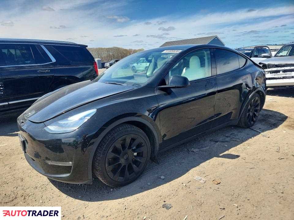 Tesla Model Y 2021