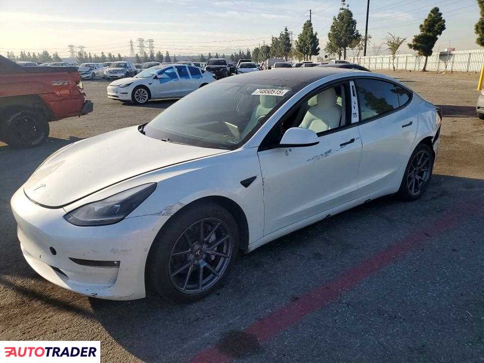 Tesla Model 3 2021