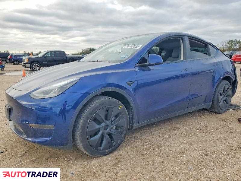 Tesla Model Y 2025