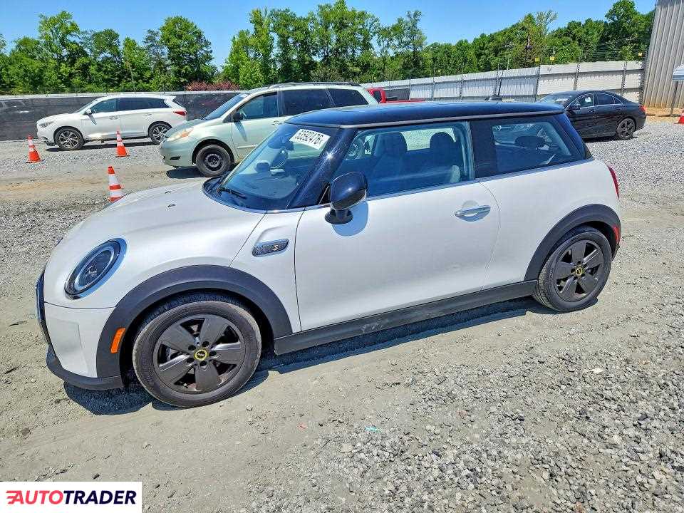 Austin Mini 2024