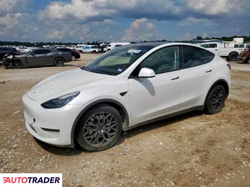 Tesla Model Y 2021 Tesla Model Y 2021