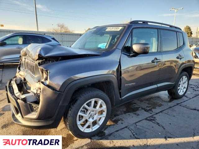Jeep Renegade 2019 2