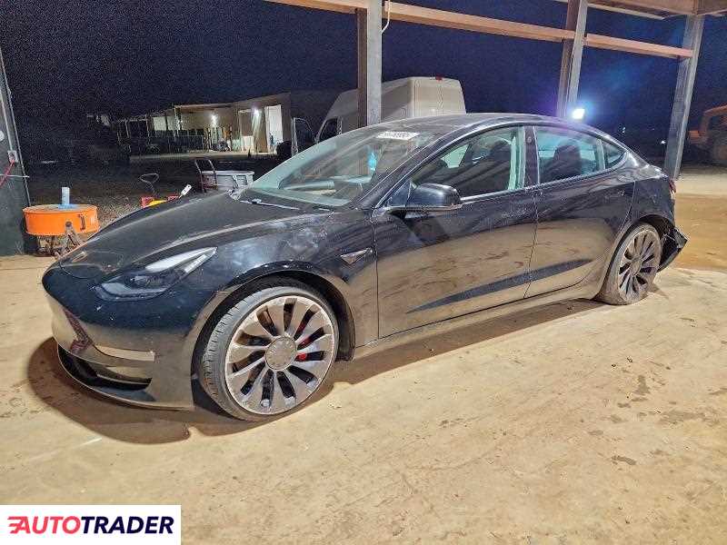 Tesla Model 3 2021