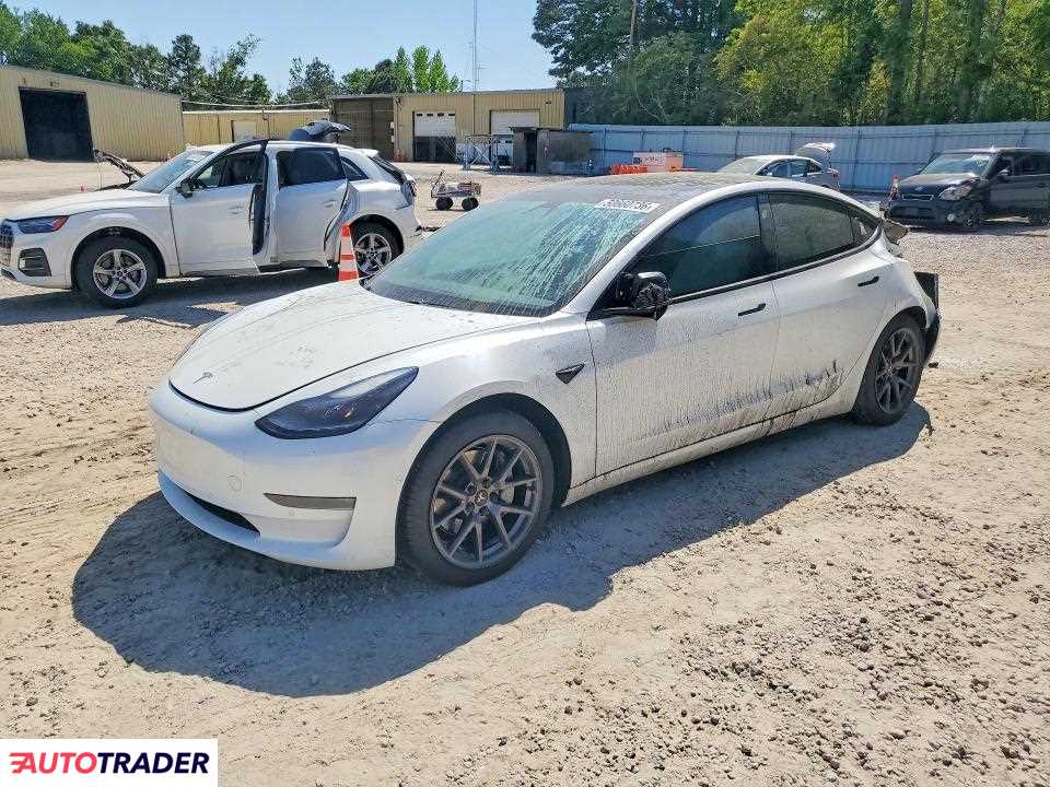 Tesla Model 3 2021