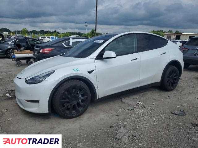 Tesla Model Y 2020