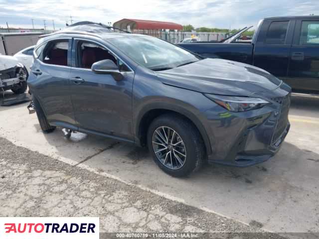 Lexus NX 2024 2
