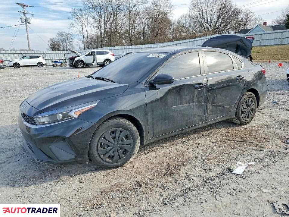 Kia Pozostałe 2024 2