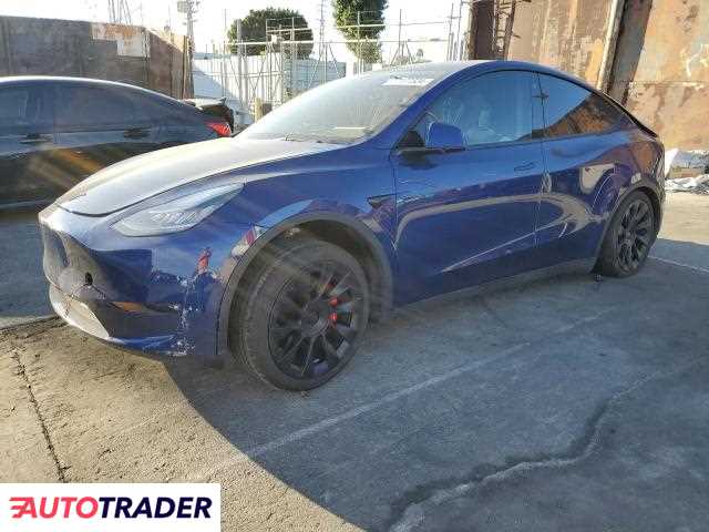 Tesla Model Y 2021