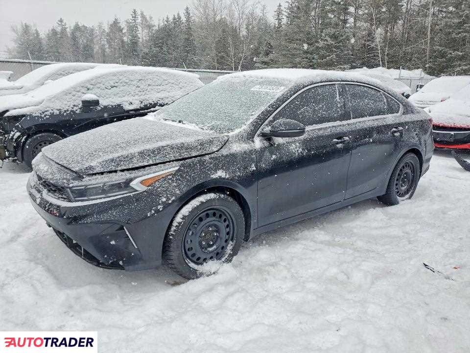 Kia Pozostałe 2024 2