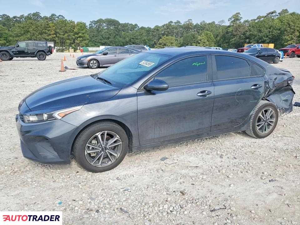 Kia Pozostałe 2024 2