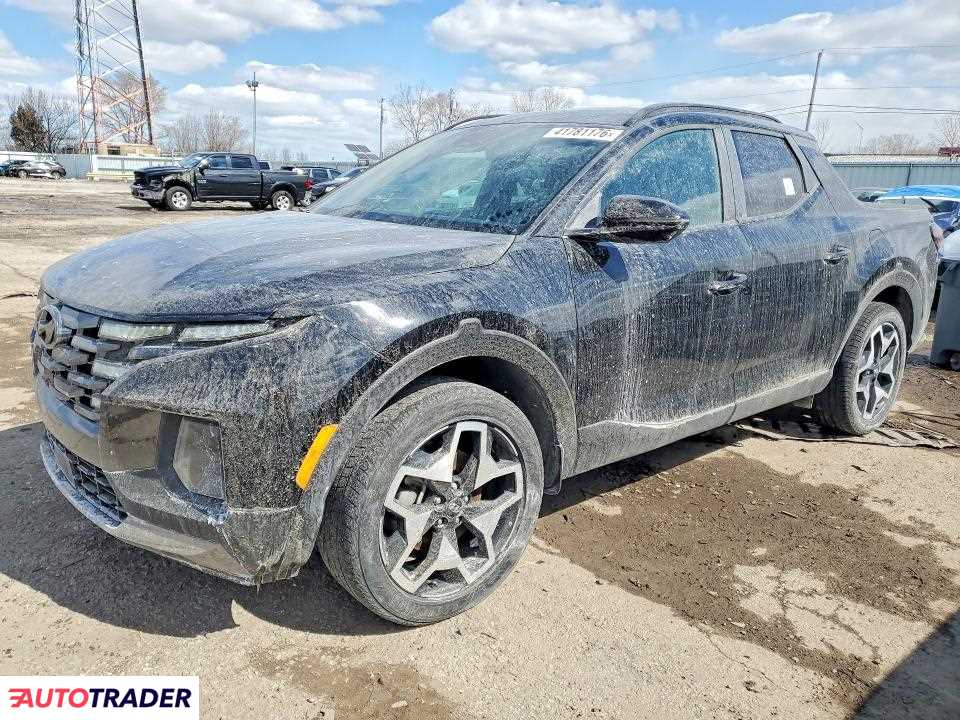 Hyundai Pozostałe 2024 2