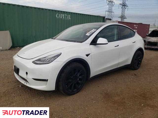 Tesla Model Y 2021