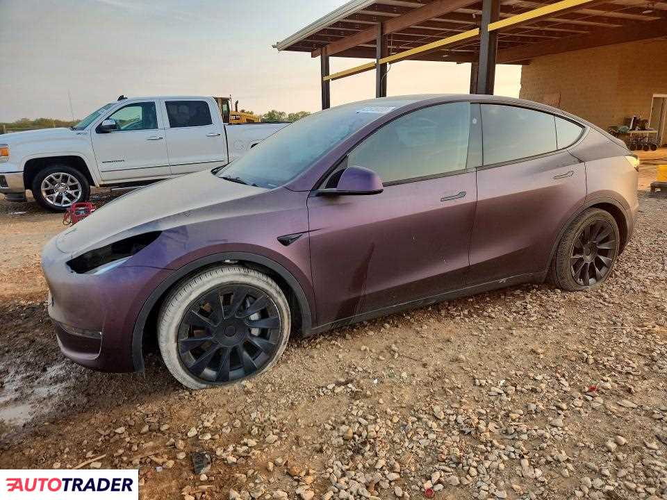 Tesla Model Y 2024