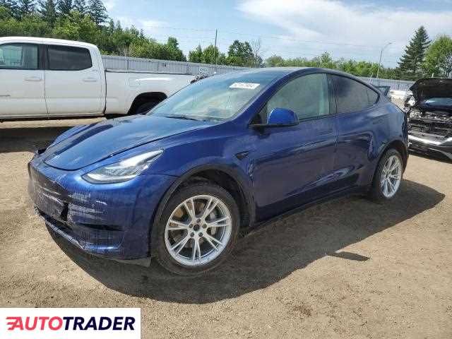 Tesla Model Y 2021