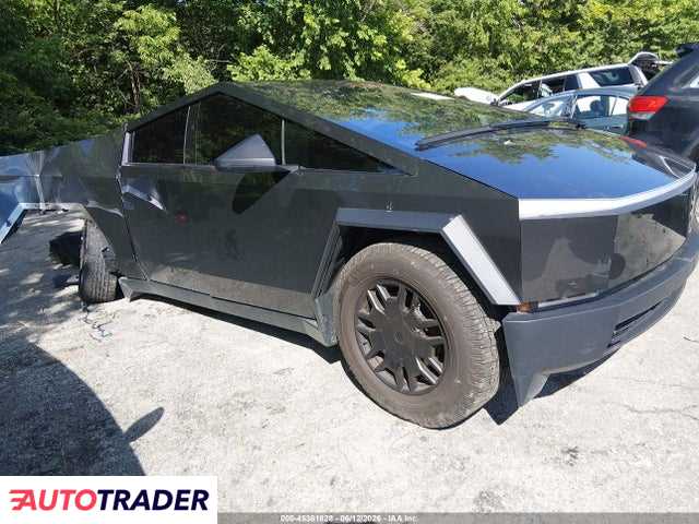 Tesla Pozostałe 2024