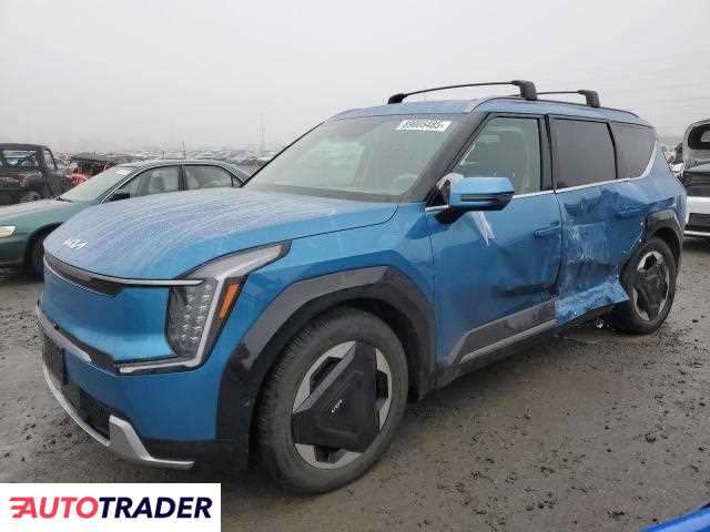 Kia Pozostałe 2024 Kia Pozostałe 2024
