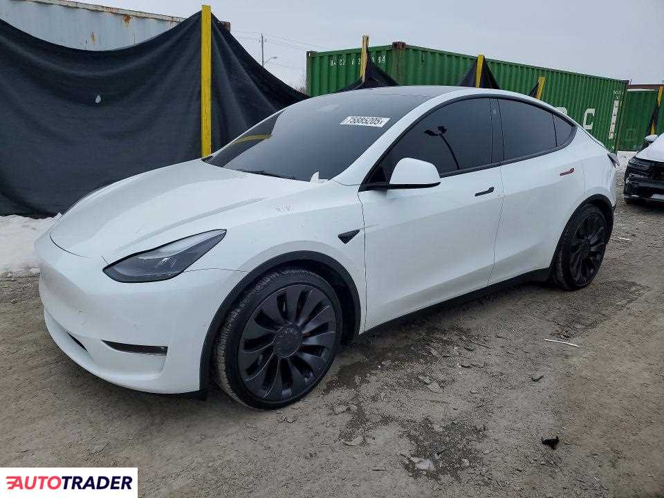 Tesla Model Y 2021