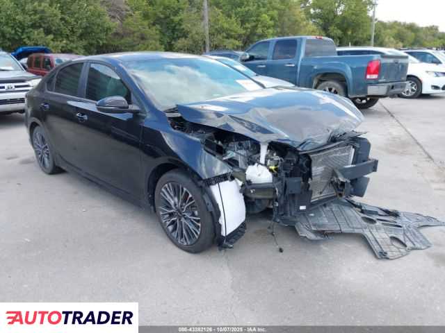 Kia Pozostałe 2024 2