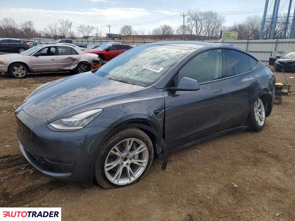 Tesla Model Y 2021