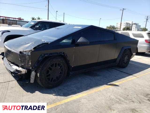 Tesla Pozostałe 2024