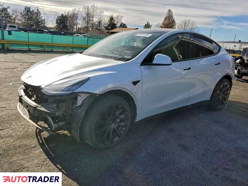 Tesla Model Y 2021