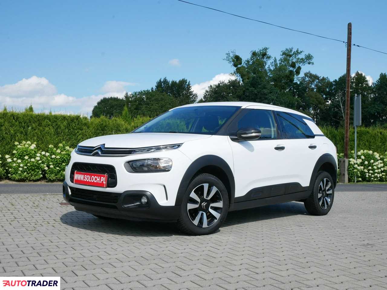 Citroen C4 Cactus 2019 1.2 110 KM
