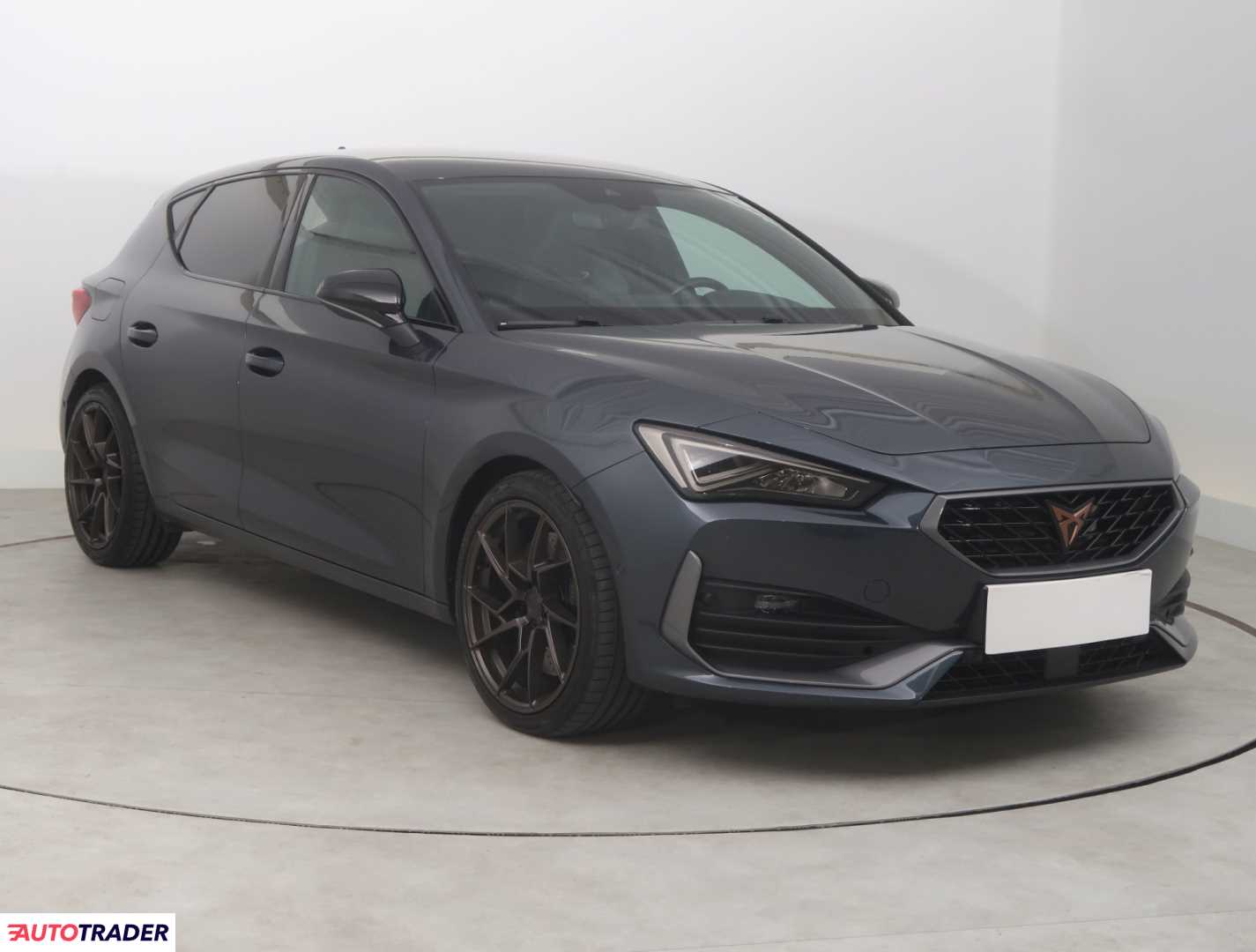 Cupra 2021 2.0 296 KM