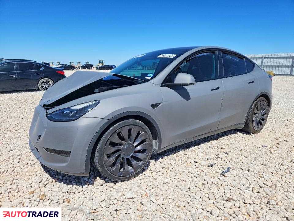 Tesla Model Y 2021
