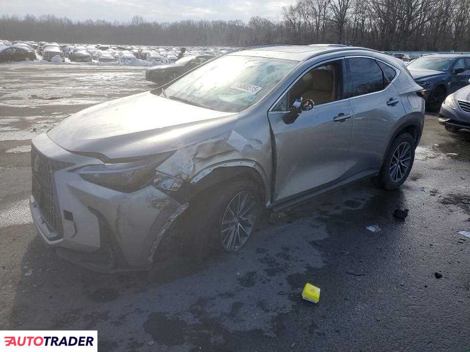 Lexus NX 2024 2