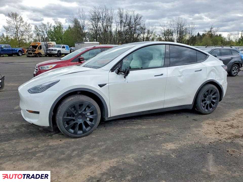 Tesla Model Y 2025