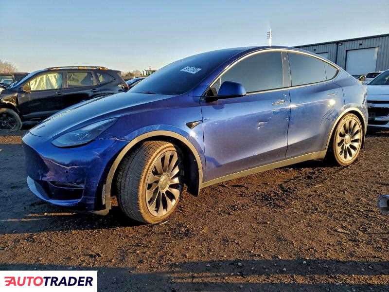 Tesla Model Y 2021