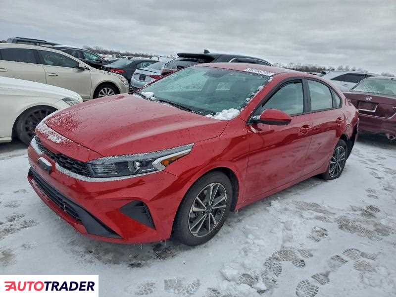 Kia Pozostałe 2024 2