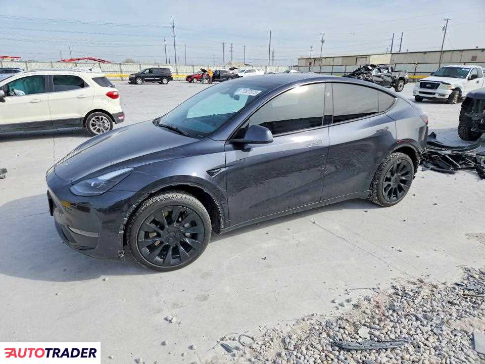 Tesla Model Y 2024