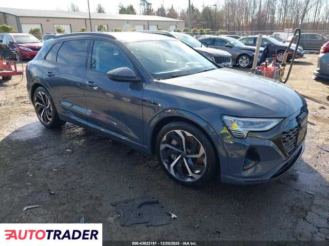 Audi Q8 2024