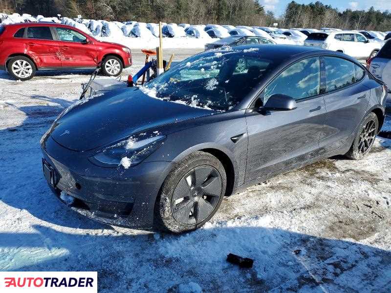 Tesla Model 3 2021