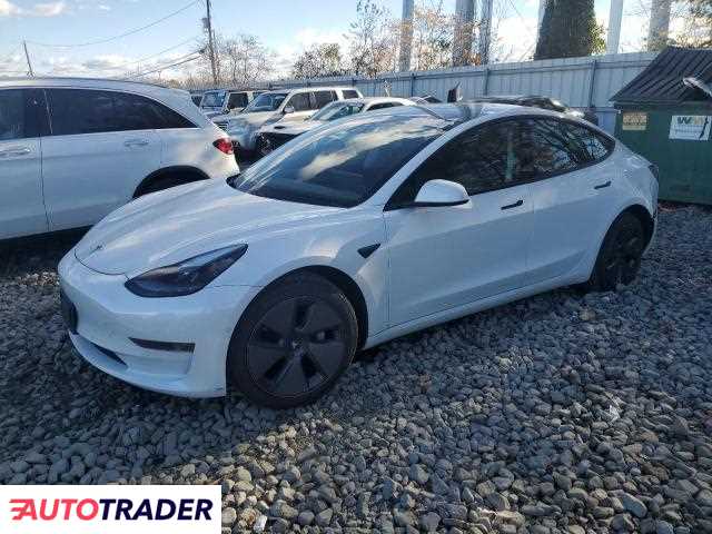 Tesla Model 3 2021