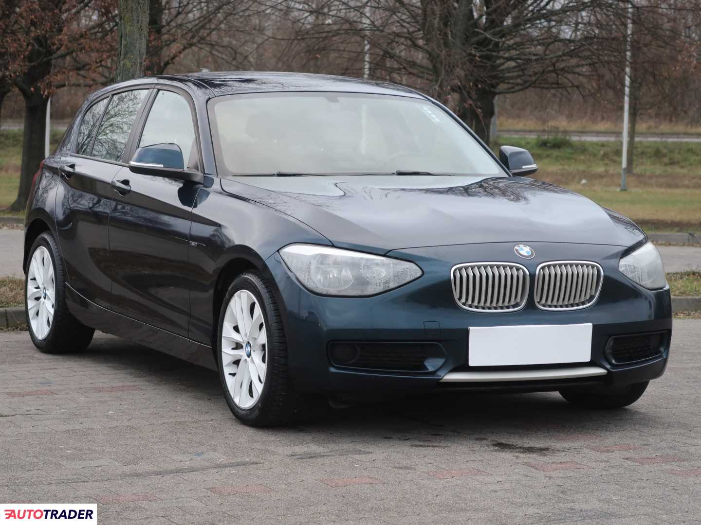 BMW 116 2011 1.6 134 KM