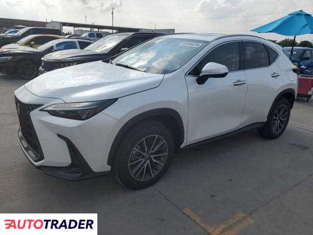 Lexus NX 2024 2