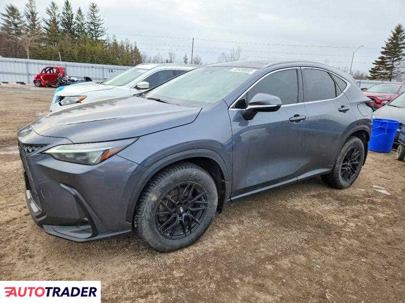 Lexus NX 2024 2