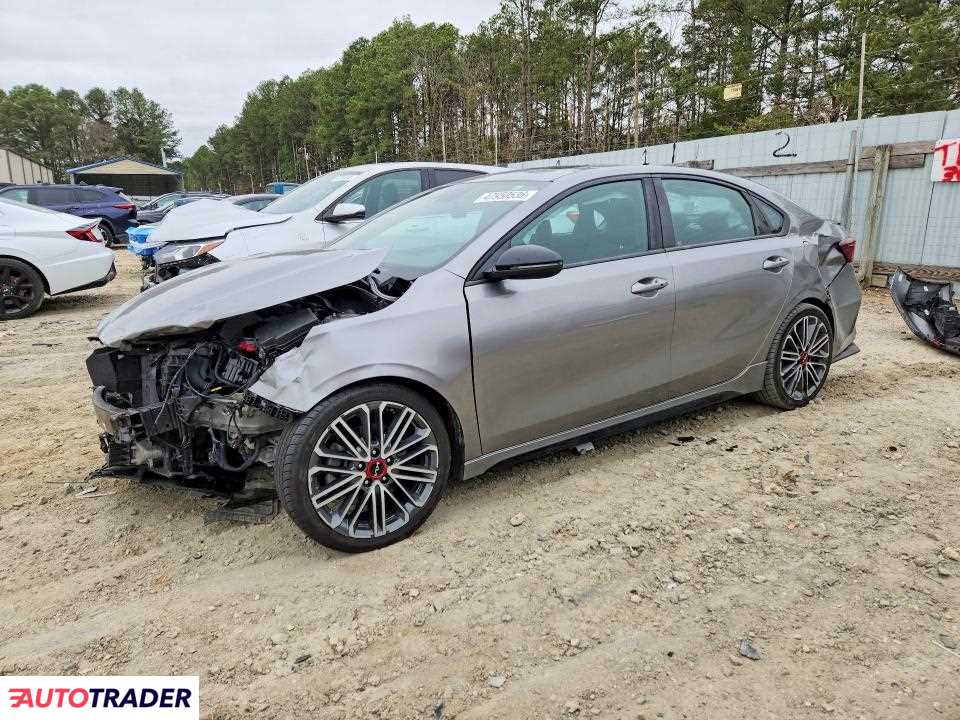 Kia Pozostałe 2022 1