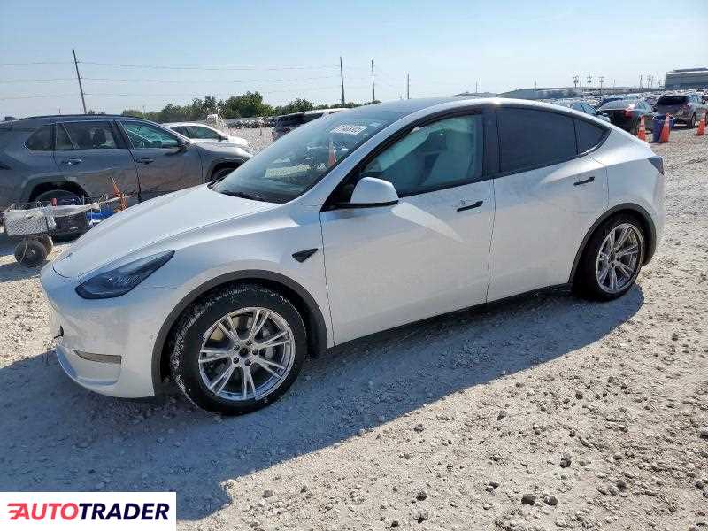 Tesla Model Y 2021