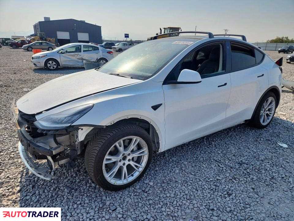 Tesla Model Y 2021