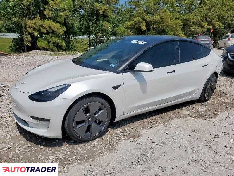 Tesla Model 3 2021 Tesla Model 3 2021