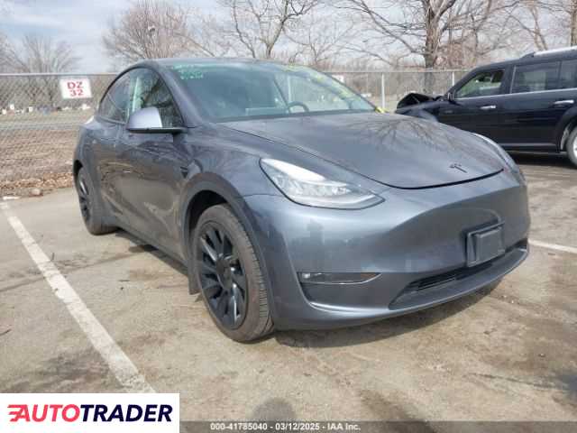 Tesla Model Y 2021 Tesla Model Y 2021