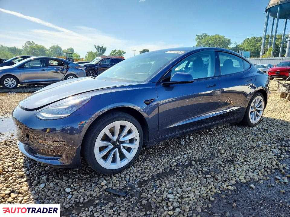 Tesla Model 3 2021