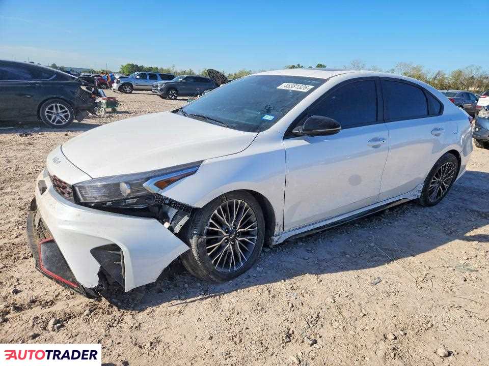Kia Pozostałe 2024 2