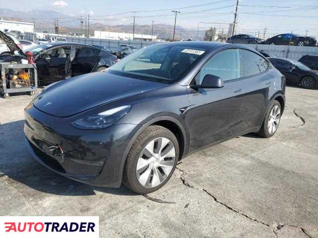 Tesla Model Y benzyna 2024r. (SUN VALLEY)