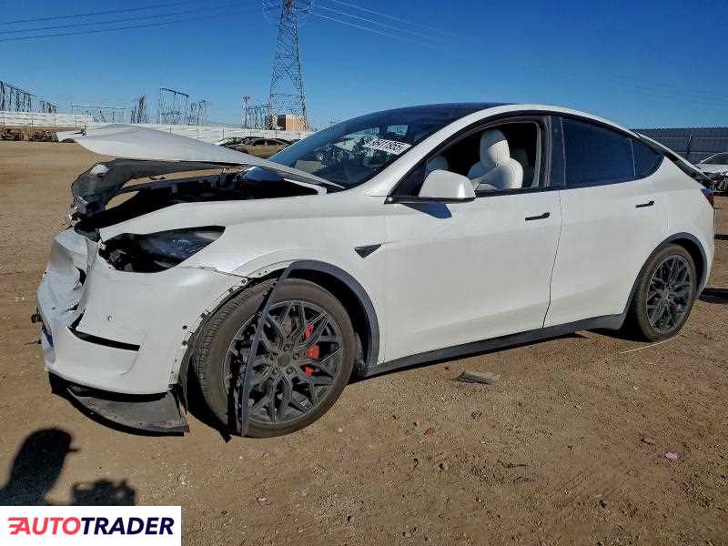 Tesla Model Y 2021