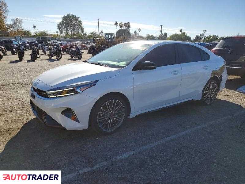 Kia Pozostałe 2024 1